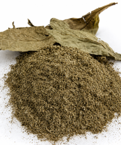 Buy Psychotria viridis (chacruna) leaves